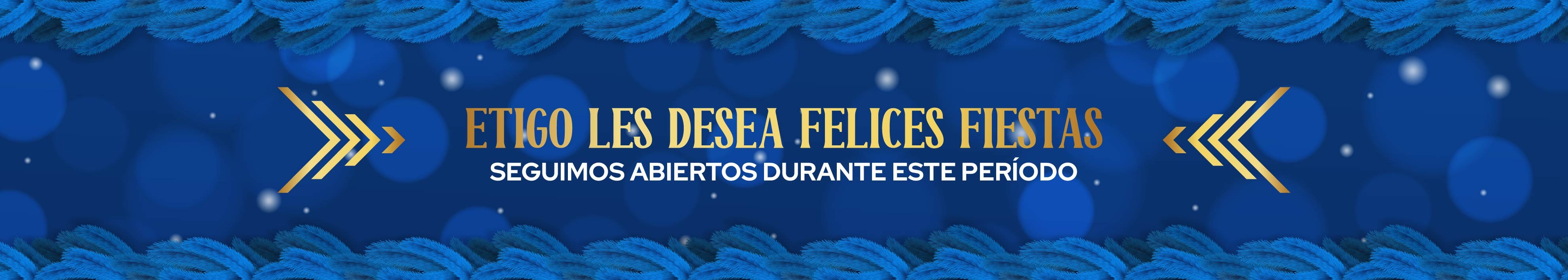 Banner de fiestas y apertura de ETIGO